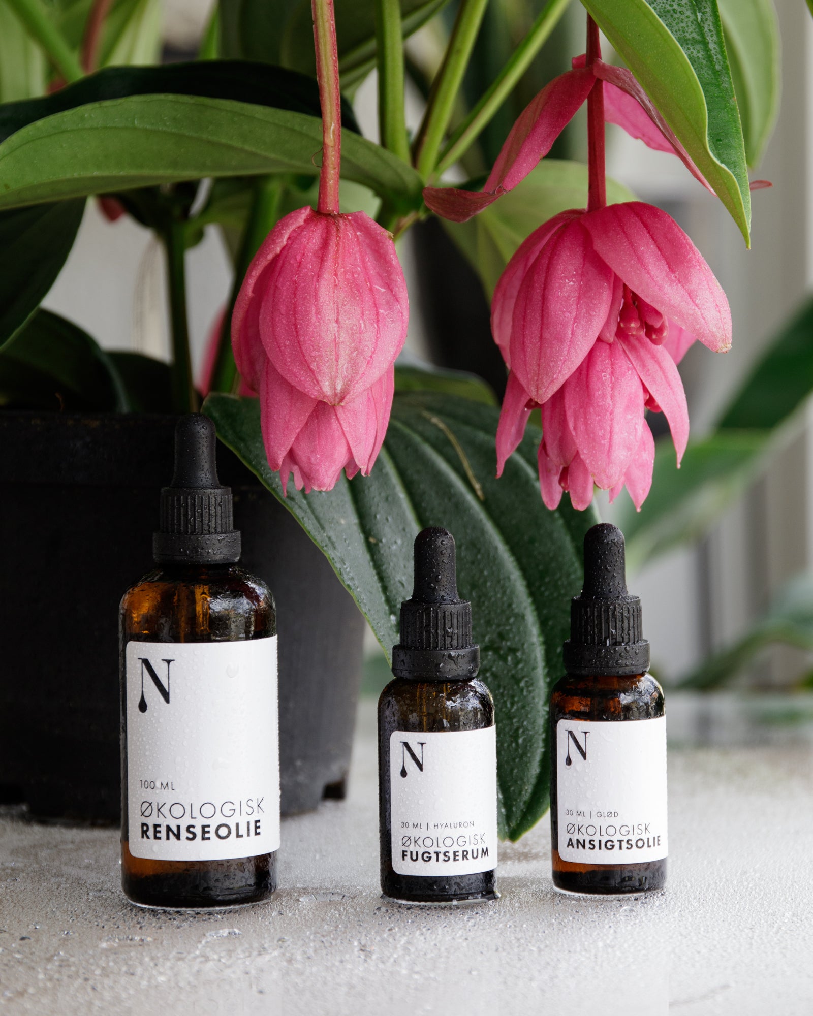 Økologisk fugtserum/hyaluronsyre - 30 ml.